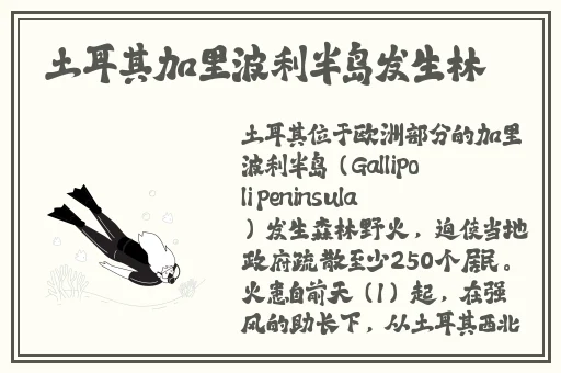 春雨短视频